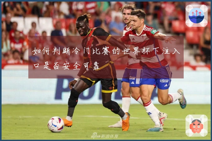 如何判断冷门比赛的世界杯下注入口是否安全可靠